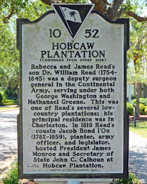 Maybank Green/Hobcaw Plantation — photo 4