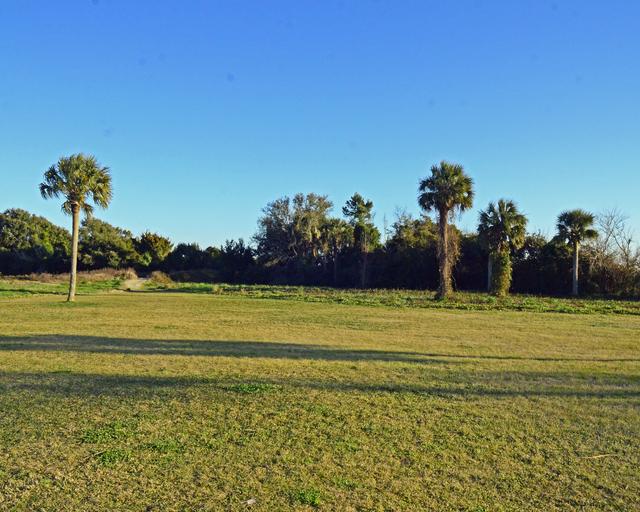 Palmetto Fort, 1776 — photo 1
