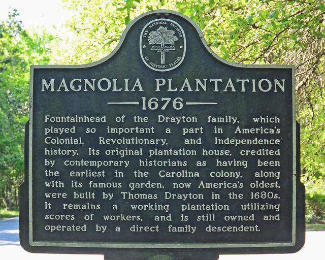 Magnolia Plantation — photo 4