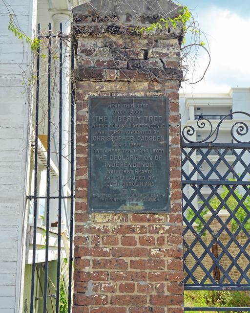 Liberty Tree — photo 2