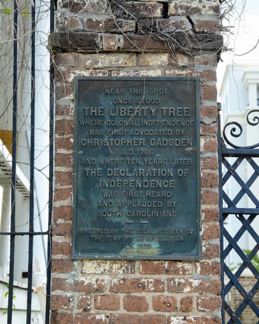 Liberty Tree — photo 3