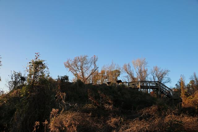 Fort Watson Mound — photo 2