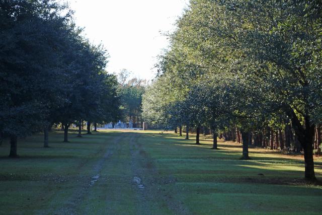 Richardson Graves — photo 4