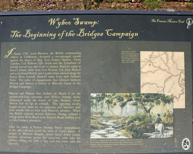 Wyboo Swamp: The Beginning of the Bridges Campaign — photo 2