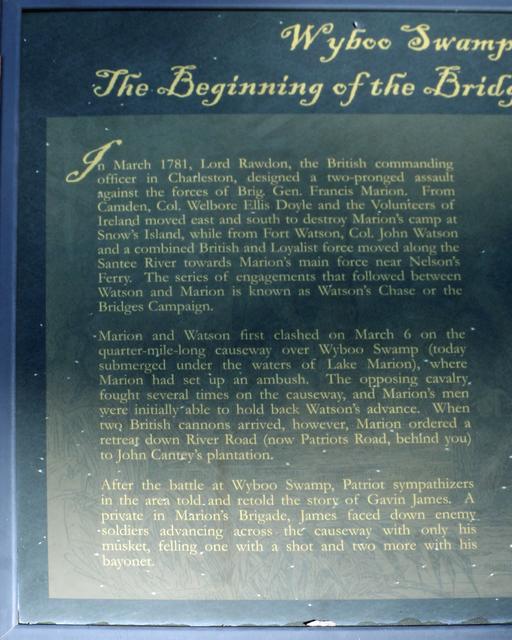 Wyboo Swamp: The Beginning of the Bridges Campaign — photo 3