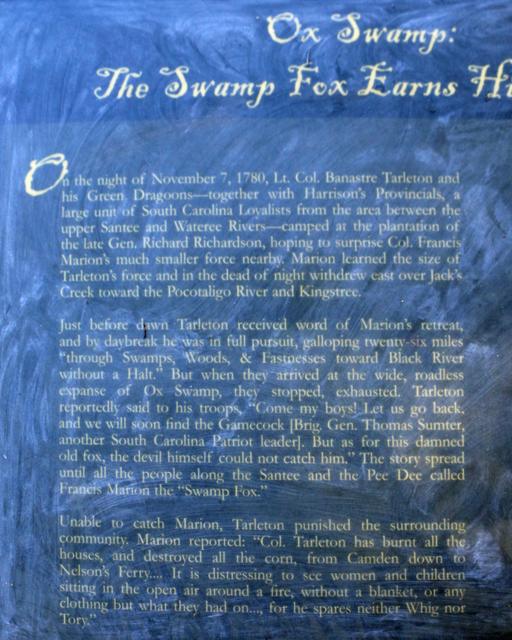 Ox Swamp: The Swamp Fox Earns His Name — photo 3
