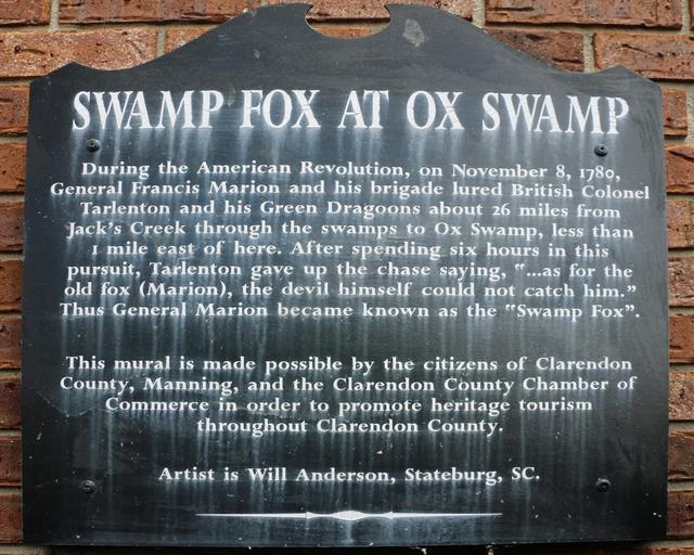 Swamp Fox at Ox Swamp — photo 4