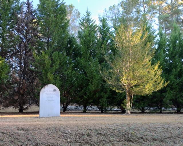 Skirmish at Rocky Mount — photo 1
