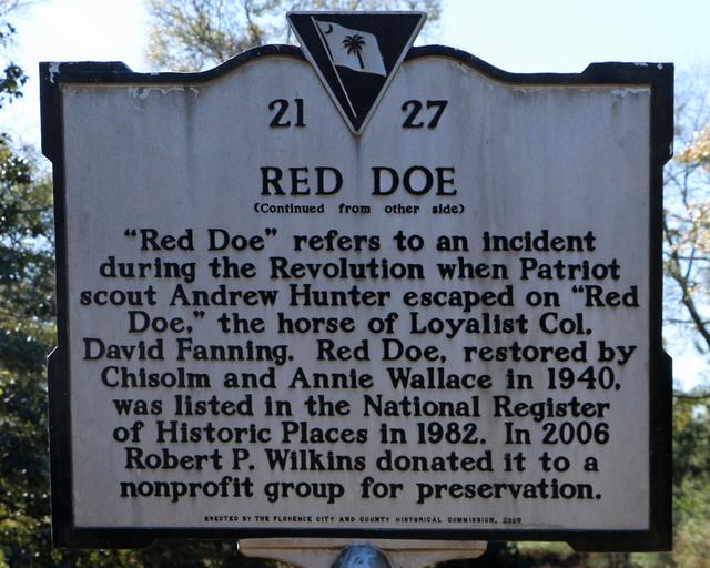 Red Doe — photo 4