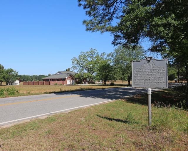 Mars Bluff — photo 1