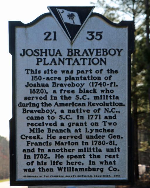 Joshua Braveboy Plantation — photo 4