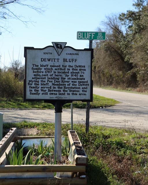 DeWitt Bluff — photo 3