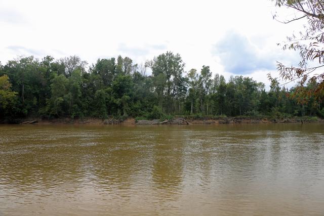 Snow Island — photo 3
