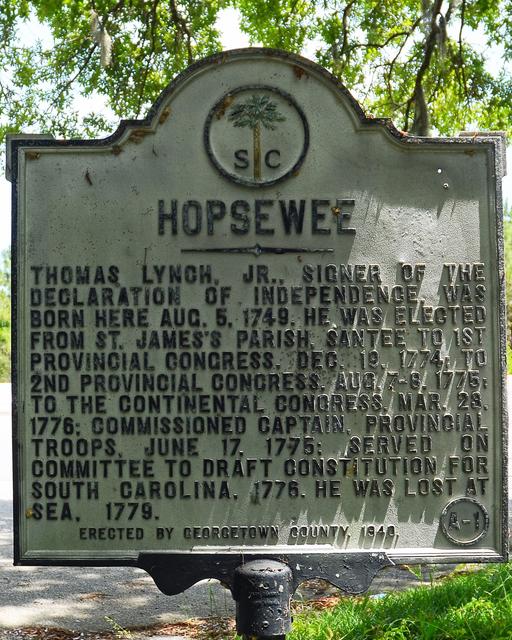 Hopsewee — photo 4