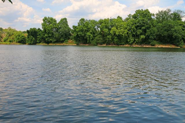 Friday’s Ferry Site on the Congaree — photo 3