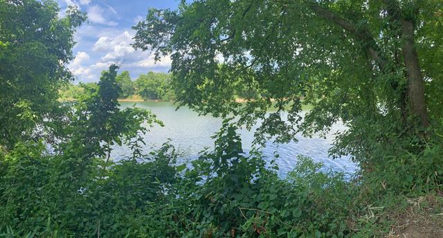Friday’s Ferry Site on the Congaree — photo 4