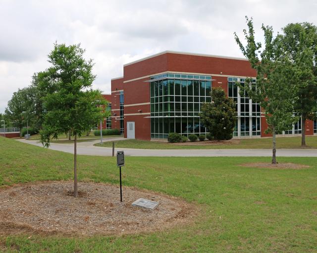 River Bluff High School Liberty Tree — photo 2