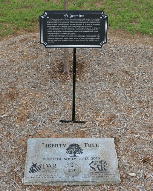 River Bluff High School Liberty Tree — photo 3