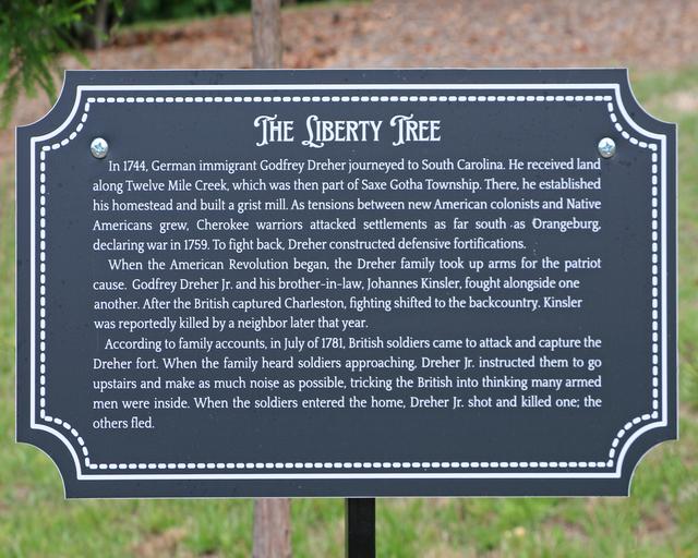 River Bluff High School Liberty Tree — photo 4