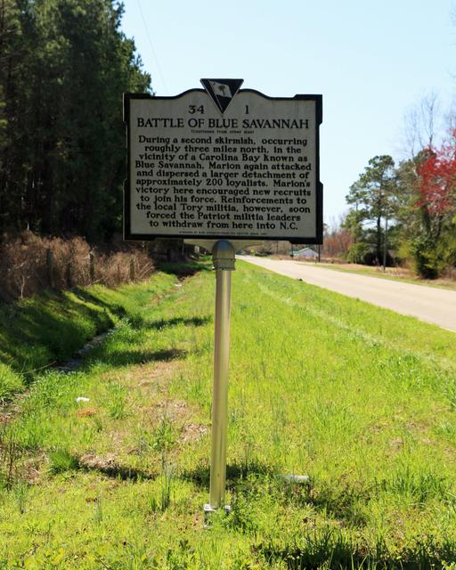 Battle of Blue Savannah — photo 3