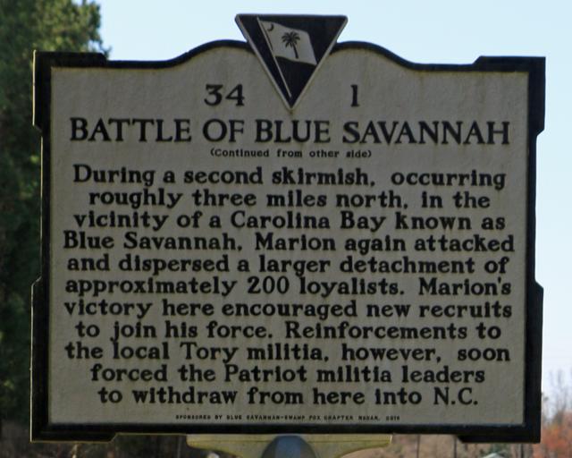 Battle of Blue Savannah — photo 4