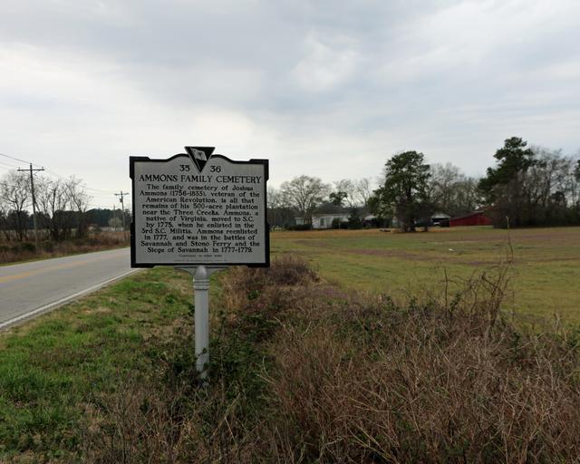 Ammons Family Cemetery — photo 1