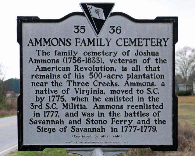 Ammons Family Cemetery — photo 2