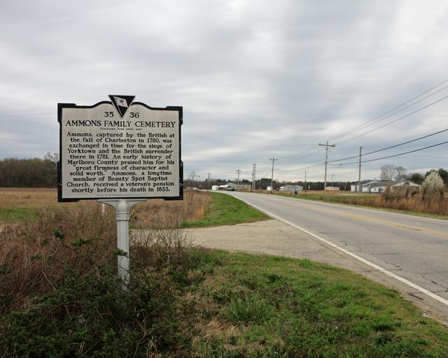 Ammons Family Cemetery — photo 3