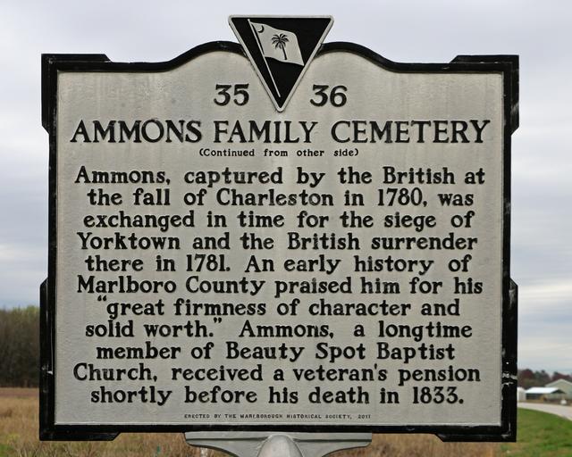 Ammons Family Cemetery — photo 4