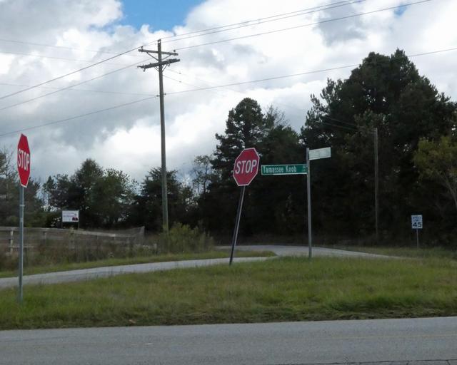 Tamassee Town — photo 2