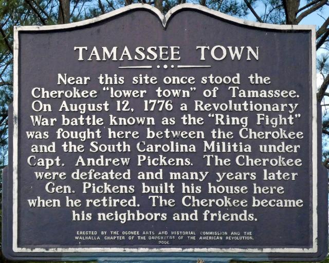 Tamassee Town — photo 4