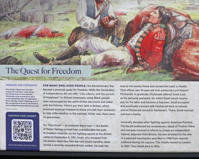 The Quest for Freedom — photo 3