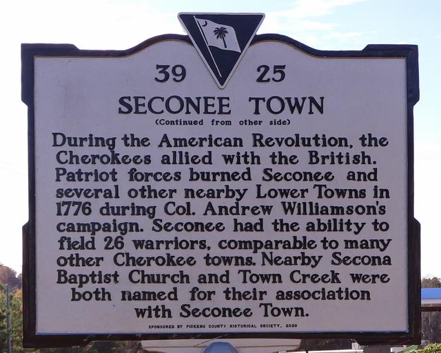 Seconee Town — photo 4