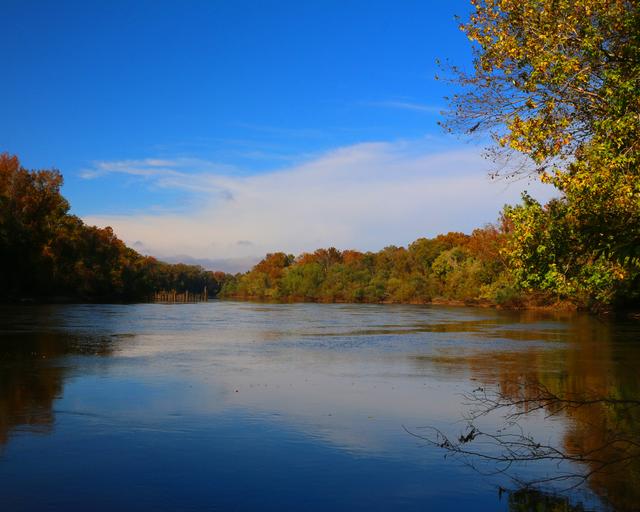 Johnson’s Landing Site — photo 3