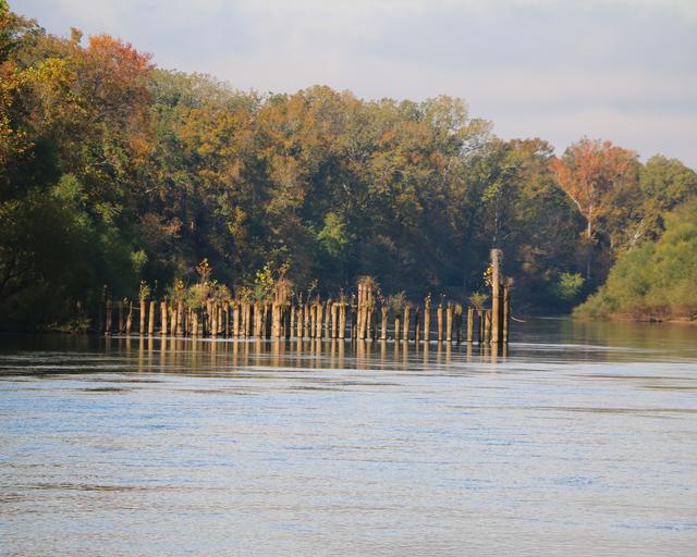 Johnson’s Landing Site — photo 4