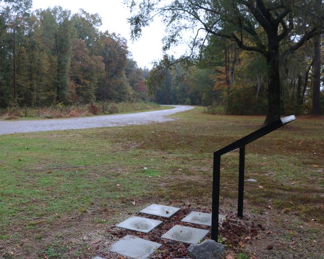 Cohen’s Bluff — photo 1