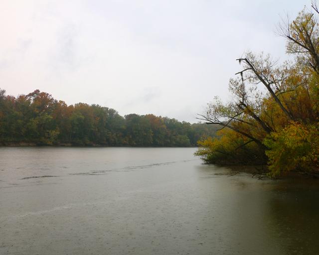 Cohen’s Bluff Site — photo 3