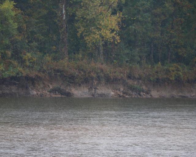 Cohen’s Bluff Site — photo 4