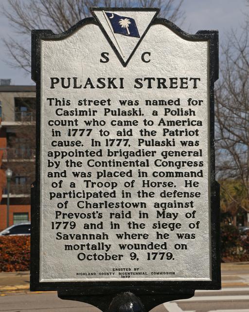 Pulaski Street — photo 3