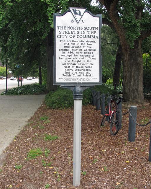 Richardson Street/The North-South Streets in the City of Columbia — photo 3