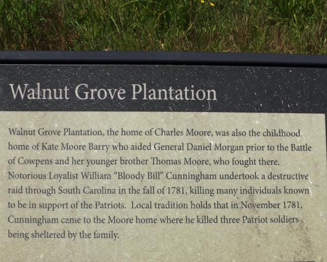Walnut Grove Plantation — photo 4