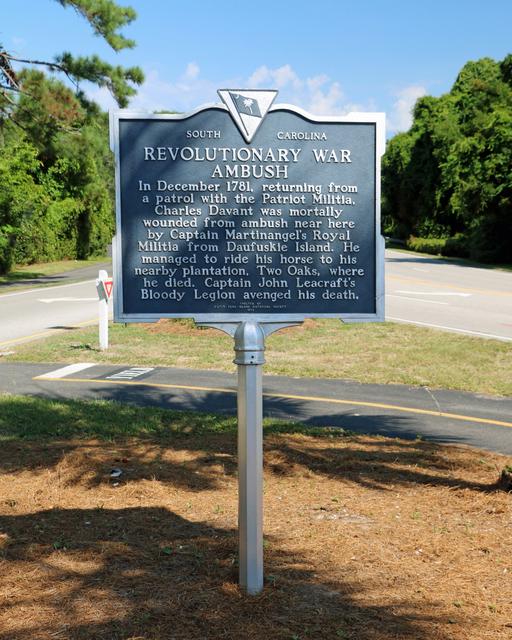 Revolutionary War Ambush — photo 1