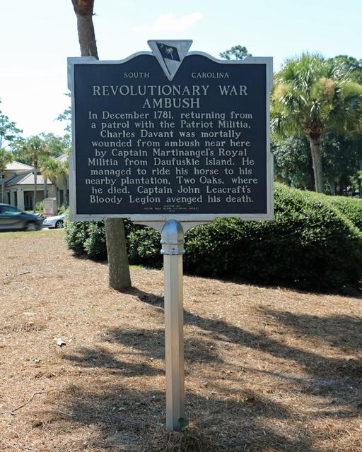 Revolutionary War Ambush — photo 3