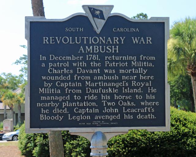 Revolutionary War Ambush — photo 4