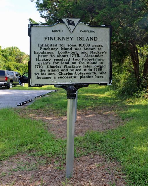 Pickney Island — photo 1