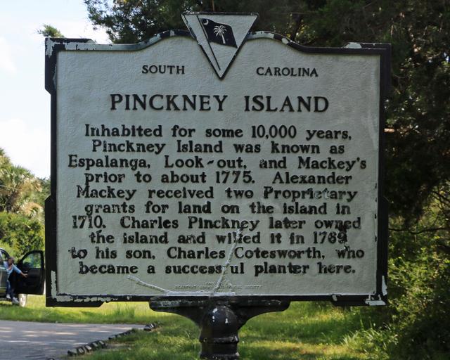 Pickney Island — photo 2