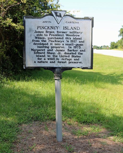 Pickney Island — photo 3