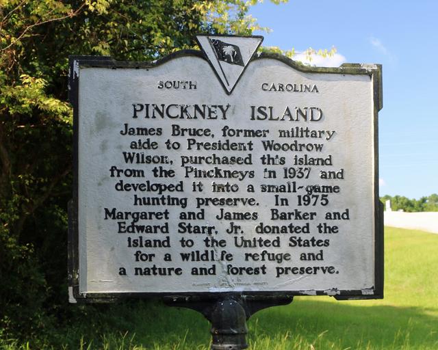Pickney Island — photo 4