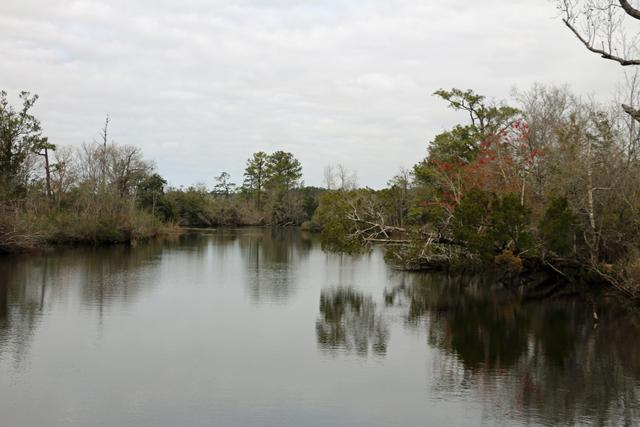 Cooper River — photo 2