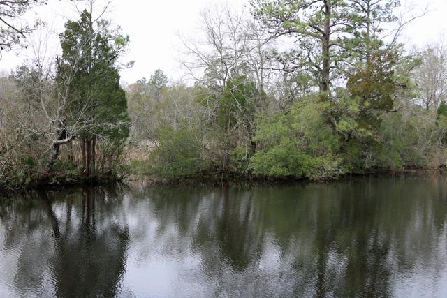 Cooper River — photo 3
